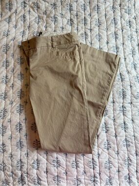 Express Columnist Pants